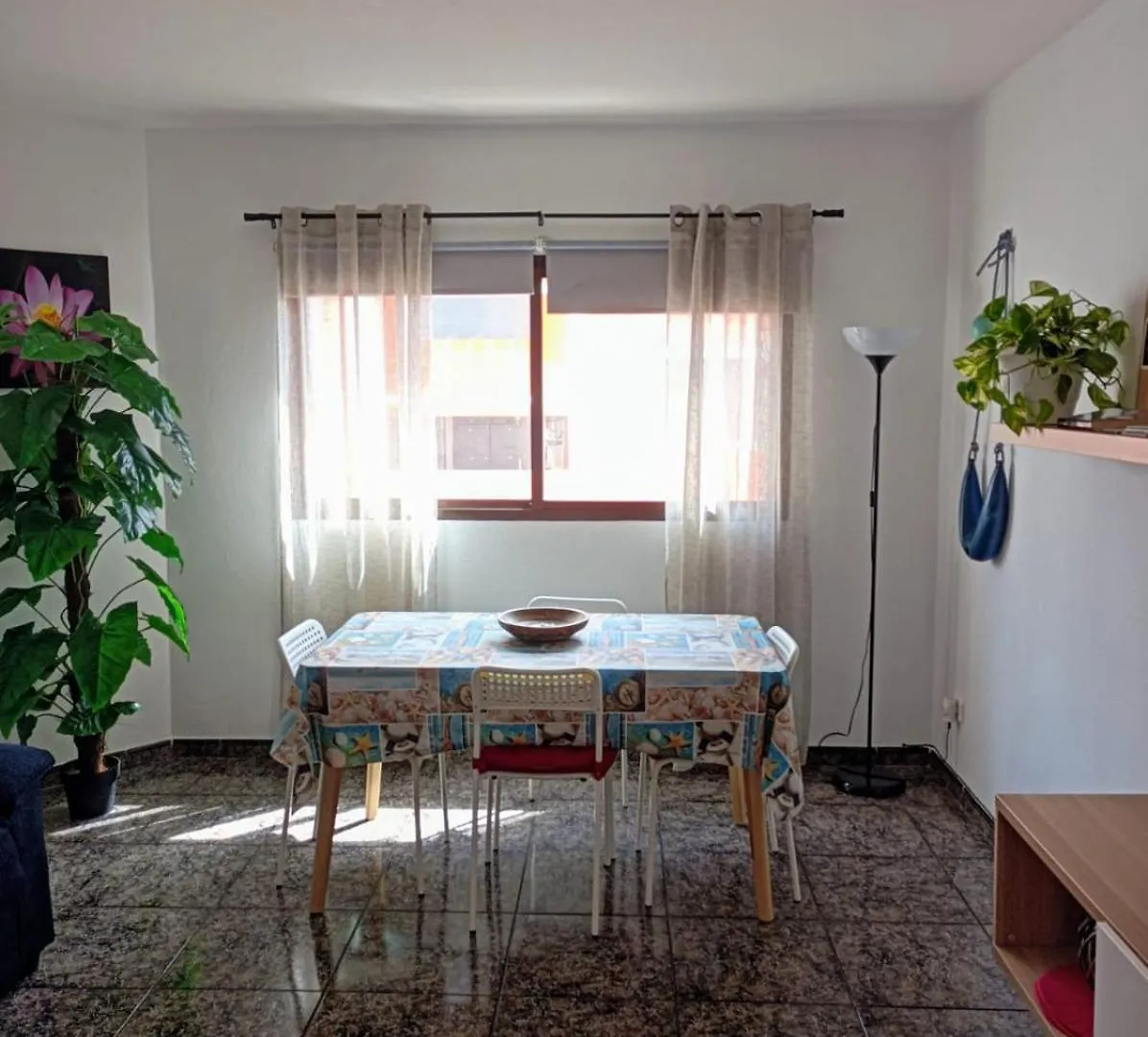 Casa Leo contacts